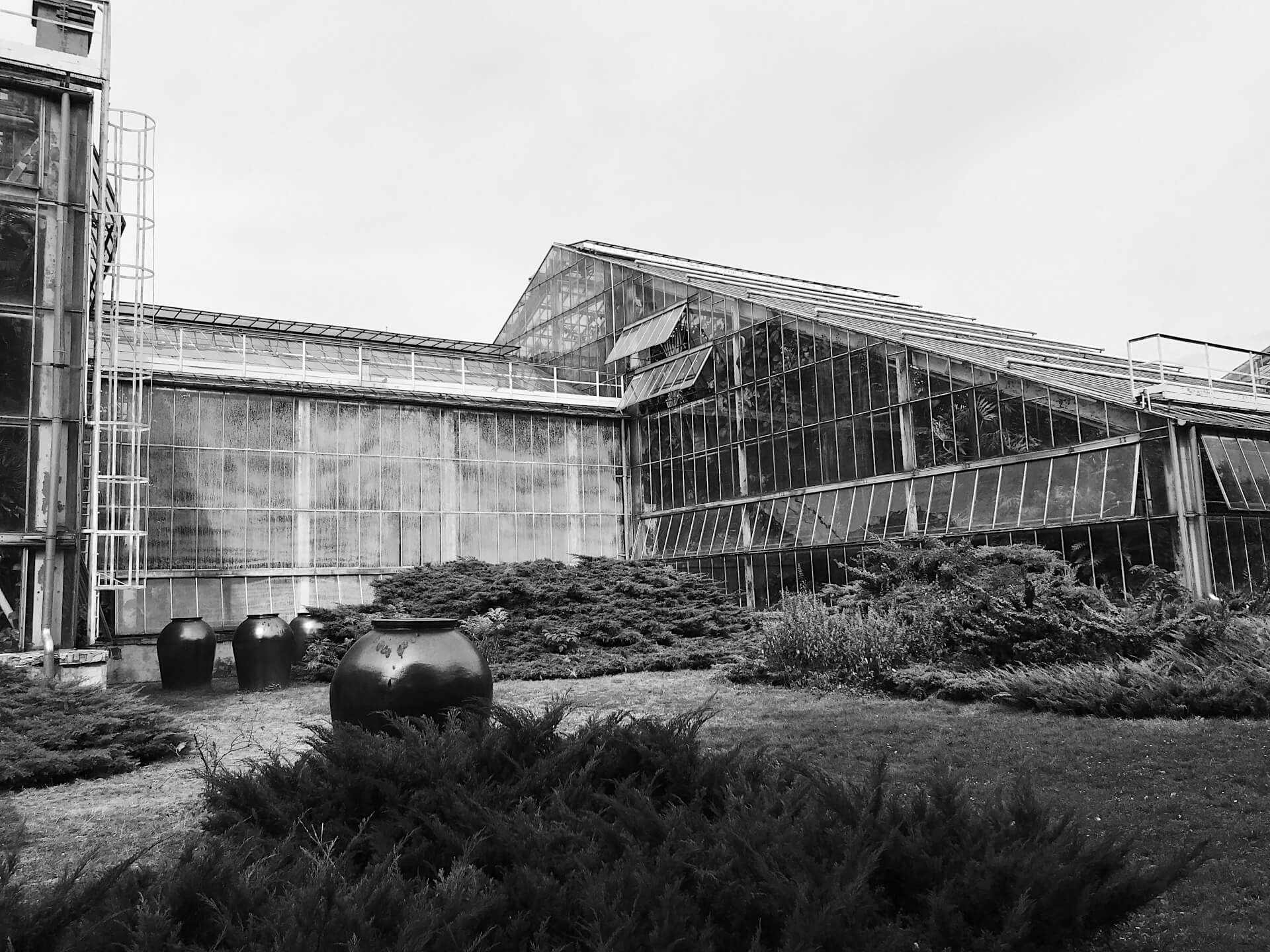 Apocalypse | photo reportage at the zoo and the palm house | Jackie Branc photographer